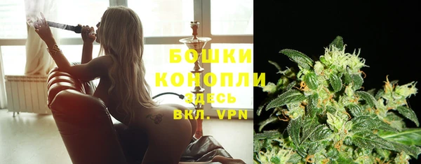 прущий лед Бронницы