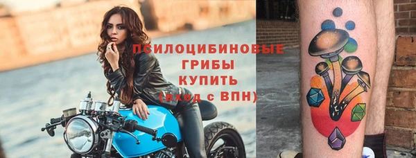 мет Бородино
