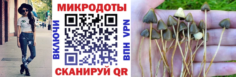 наркошоп Мончегорск Псилоцибиновые грибы Psilocybe